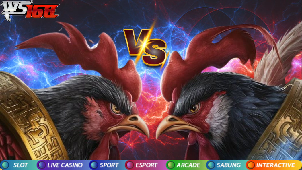 ASAL USUL & CARA MENANG BERMAIN SABUNG AYAM